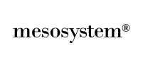 Mesosystem